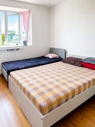 Edelweiss Park Condominium (D17), Condominium #588805241
